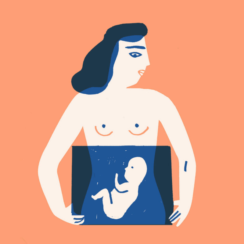 Die Illustration zeigt eine Frau, bei der man den Fötus im Bauch sieht.