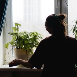 unsplash kurlikova